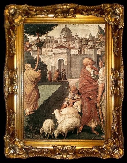 framed  FERRARI, Gaudenzio The Annunciation to Joachim and Anna dfg, ta009-2